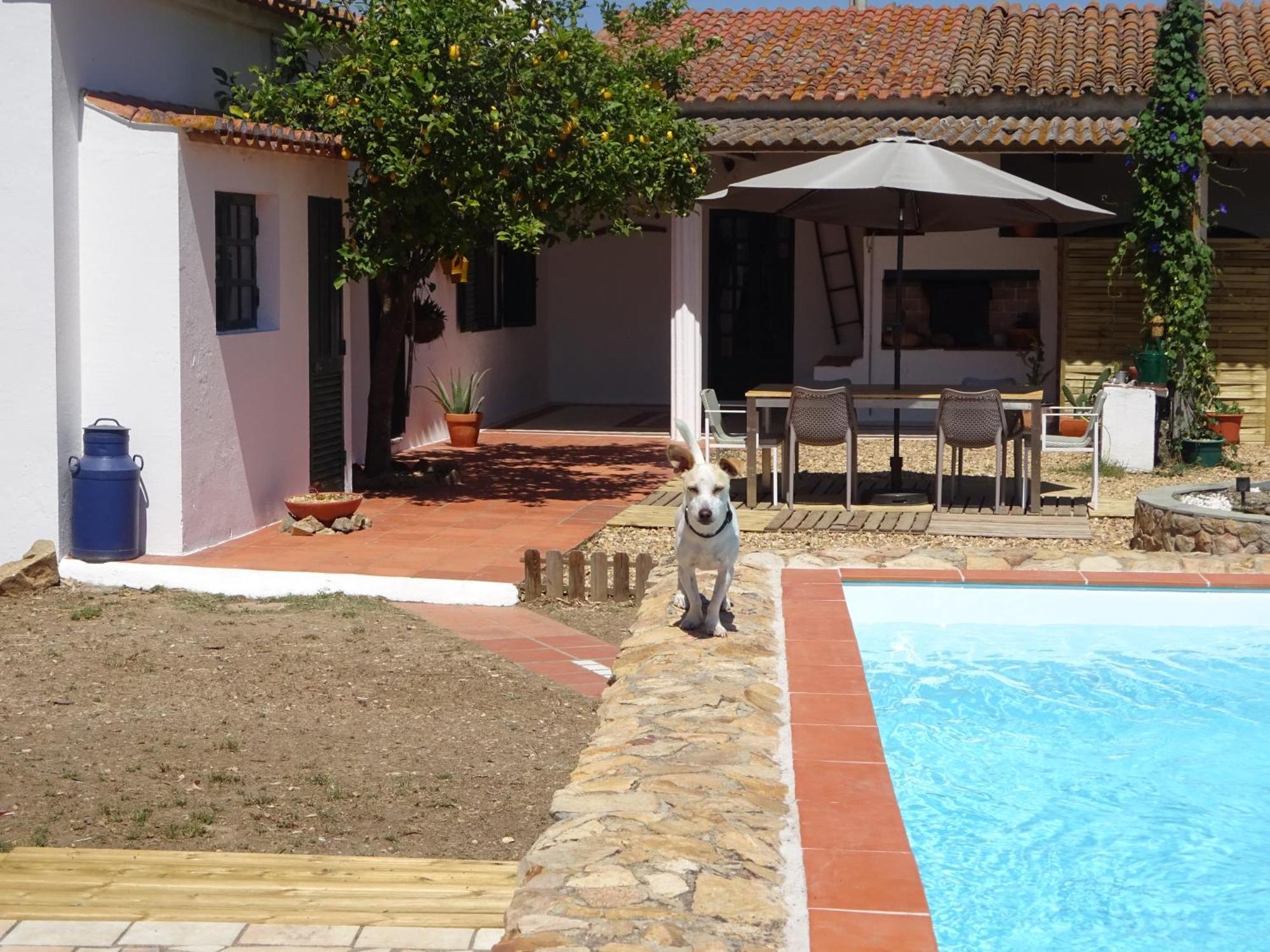 New Village Vila Nova da Baronia Exteriör bild